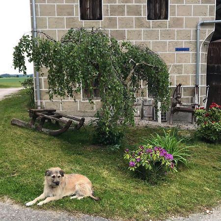 Pferdehof-Dietzsch Tittmoning Dış mekan fotoğraf