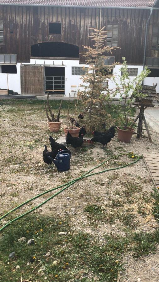 Pferdehof-Dietzsch Tittmoning Dış mekan fotoğraf