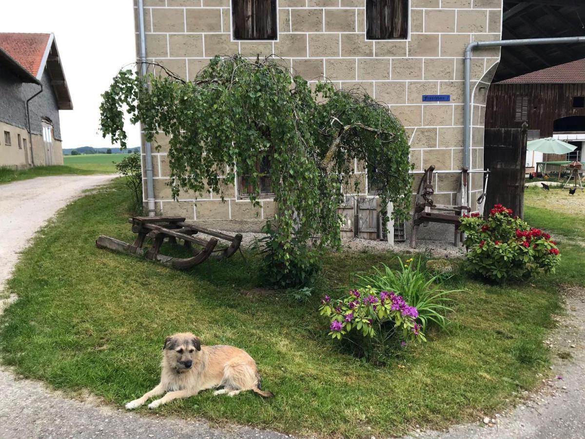 Pferdehof-Dietzsch Tittmoning Dış mekan fotoğraf
