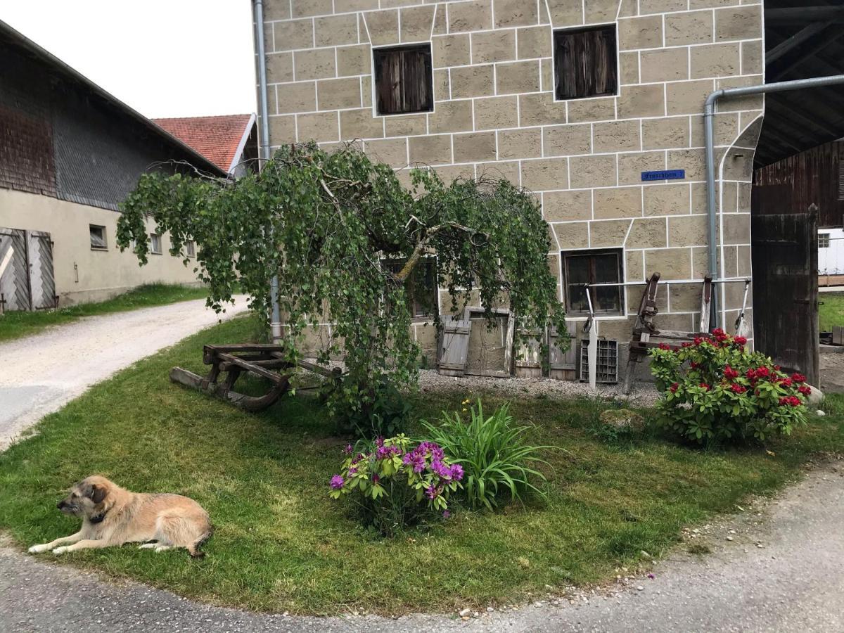 Pferdehof-Dietzsch Tittmoning Dış mekan fotoğraf